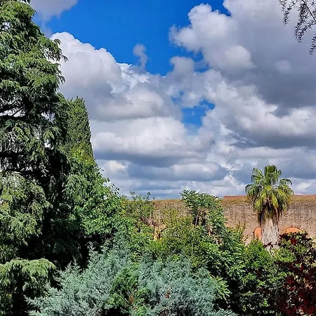 Fossato Di Vico Rome